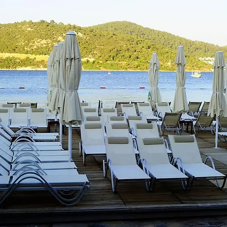 Maritim بيت ضيافة