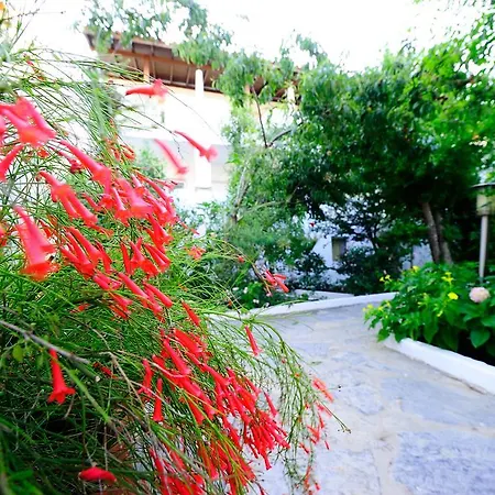 Maritim بيت ضيافة *