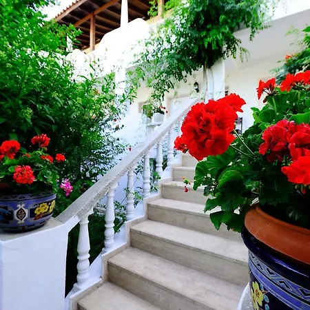 Maritim غولتوركبوكو