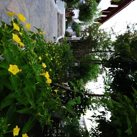 Maritim غولتوركبوكو