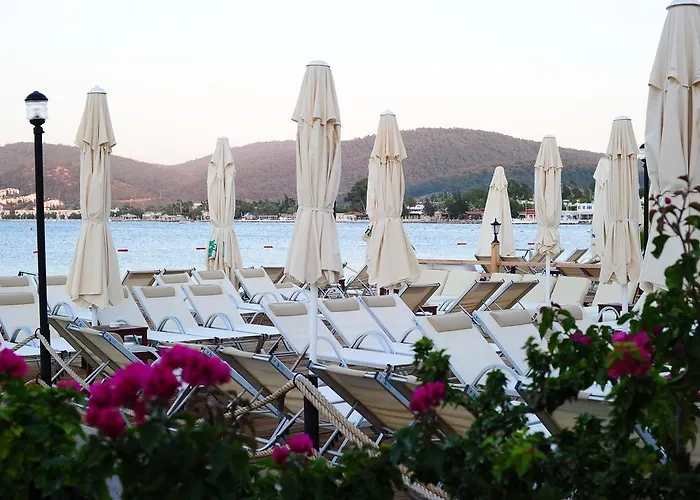 בית הארחה Maritim