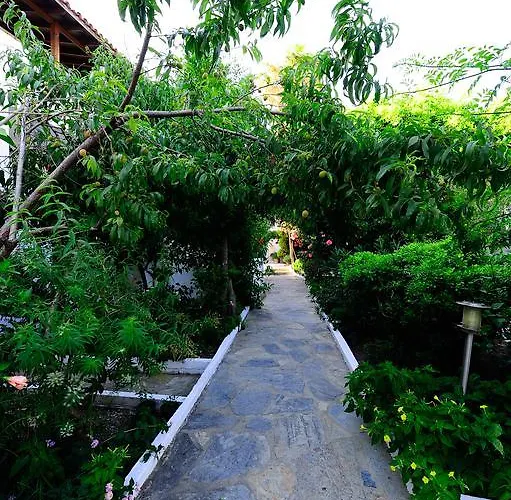 בית הארחה Maritim גולטורקבוקו