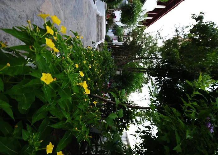 Maritim גולטורקבוקו