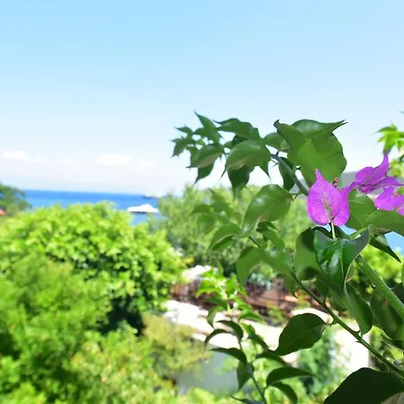 Guest house Maritim