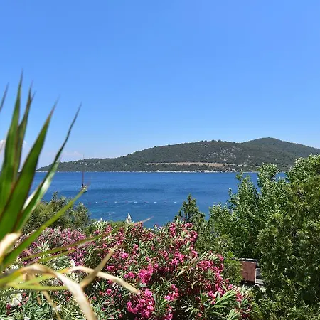 Maritim Guest house *