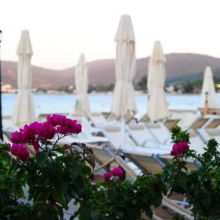 Maritim Pensionat Golturkbuku