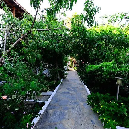 Pensionat Maritim Golturkbuku