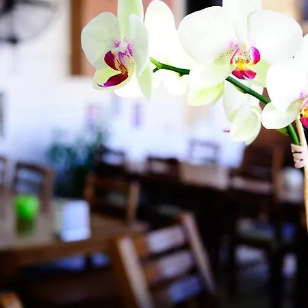 Maritim * Golturkbuku