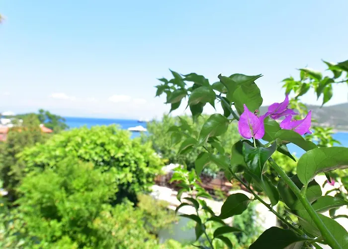 Maison d'hôtes Maritim