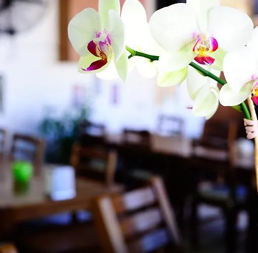 Maritim * 古托克布库